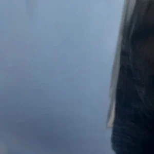 14 2vd